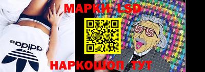 дмт Нальчик
