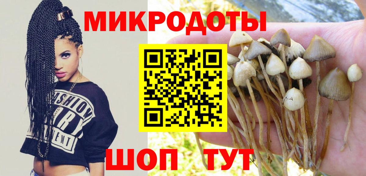 Псилоцибиновые грибы мицелий Углич